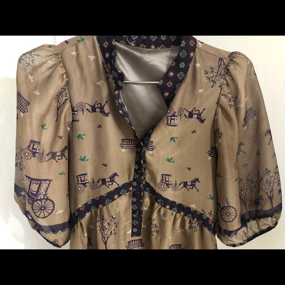 Horse carriage vintage dress